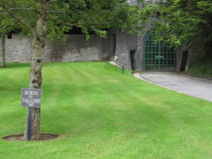 Road Trip in Ireland - Ashford Castle Falconry School