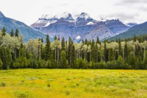 Great Canadian Road Trip - Mt Robson Provincial Park BC