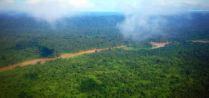 Mulu National Park Borneo