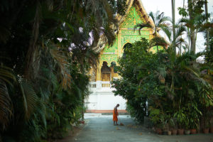 Chiang Mai Guide - Monk