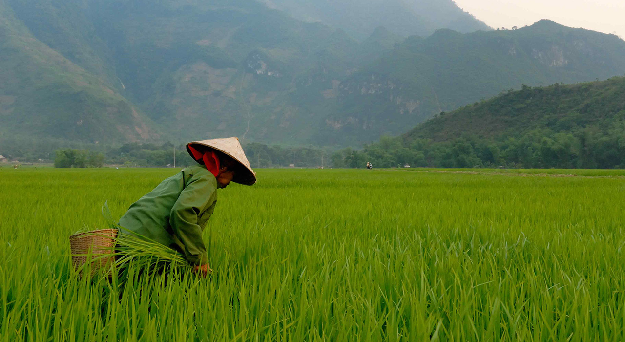 Vietnam Travel Guide Planning The Ultimate Trip Through